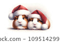 兩隻戴著聖誕老人帽子的天竺鼠 109514299