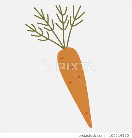 Carrot icon in a flat design on a white background. Vector illustration. Cartoon style vegetable for Logo, Grocery banner, Flyer. Nutrition, Vitamin, Organic food concept. Autumn harvest Carrot icon in a flat design on a white background. Vector illustration. Cartoon style vegetable for Logo, Grocery banner, Flyer. Nutrition, Vitamin, Organic food concept. Autumn harvest 109514530