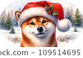 戴著聖誕帽的柴犬 109514695