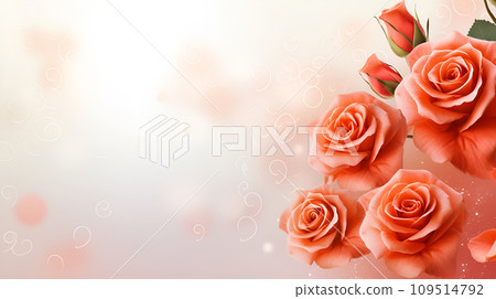 pink roses on a soft focus background pink roses on a soft focus background 109514792