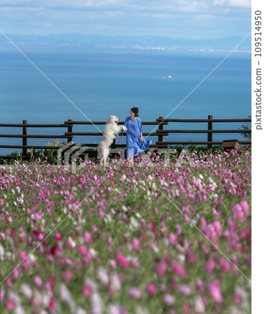 令人振奮 109514950