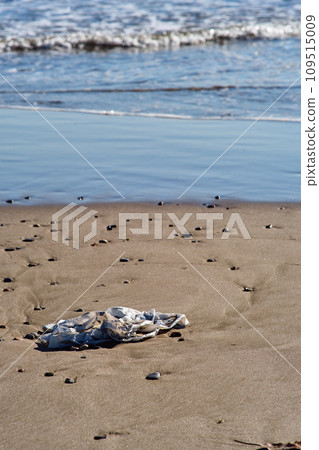 plastic trash on the beach 109515009