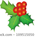 western holly 109515050