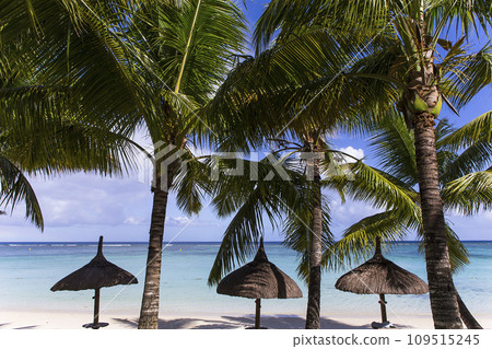 parasols on the beach in Mauritius island 109515245