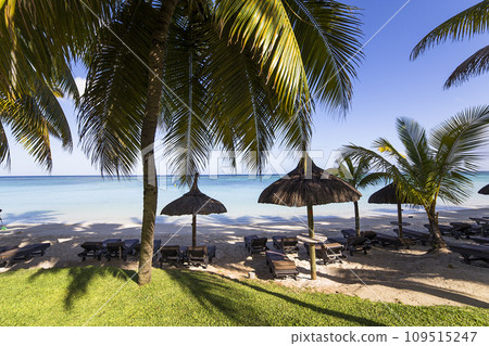 parasols on the beach in Mauritius island parasols on the beach in Mauritius island 109515247