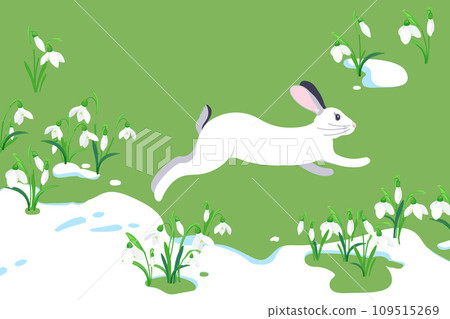 The concept of the arrival of spring and the awakening of nature after winter. Melting snow, snowdrops and a hare running on the green grass. Vector illustration. Flowers sprout through the snow. 109515269