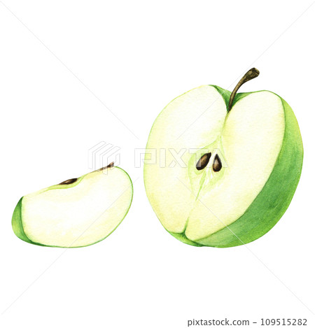A half and slice of green apple. Hand drawn botanical watercolor illustration isolated on white background. For clip art, cards, menu 109515282