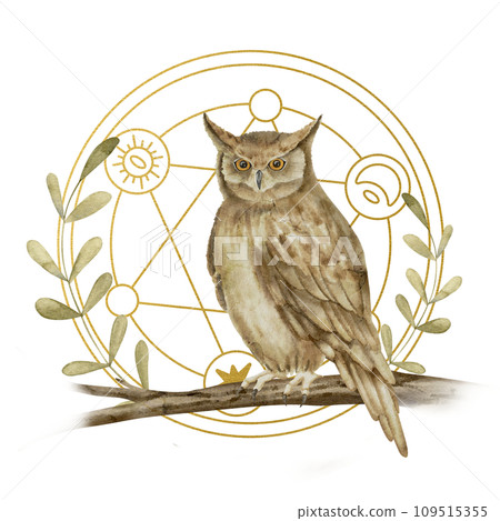 Mystical Owl Watercolor illustration. Hand drawn magical print on isolated background. Drawing of night bird and pentagram. Painting of fantasy sketch. For the design of esoteric cards and stickers. Mystical Owl Watercolor illustration. Hand drawn magical print on isolated background. Drawing of night bird and pentagram. Painting of fantasy sketch. For the design of esoteric cards and stickers. 109515355