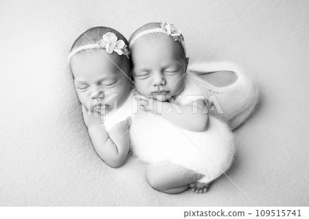 Tiny newborn twin girls. A newborn twin embraces and sleeps on his sister, Newborn twin girls against a pale blue blanket with white bandages and white delicate woolen bodysuits. Black and white. Tiny newborn twin girls. A newborn twin embraces and sleeps on his sister, Newborn twin girls against a pale blue blanket with white bandages and white delicate woolen bodysuits. Black and white. 109515741