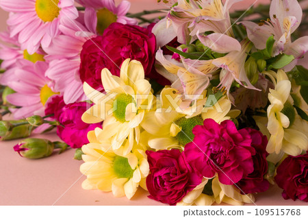 Abstract floral wallpaper with fresh chrysantemum daisy colourful flowers Abstract floral wallpaper with fresh chrysantemum daisy colourful flowers 109515768