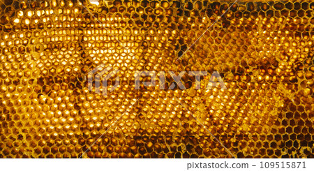 Honeycomb with honey drop on white background 109515871