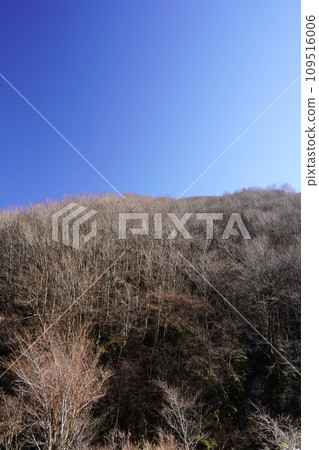 A winter-dried mountain 109516006