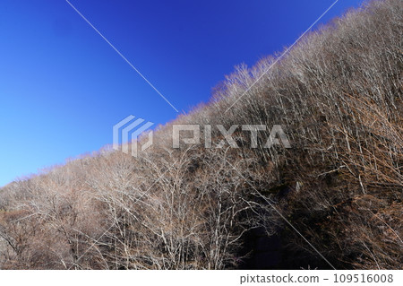 A winter-dried mountain 109516008