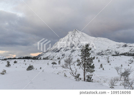 Arctic Norway in Winter 109516098