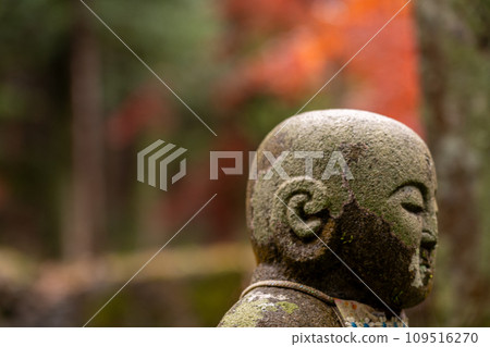 A cute Jizo statue that is loved by the common people and watches over the area. 109516270