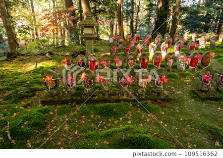A cute Jizo statue that is loved by the common people and watches over the area. A cute Jizo statue that is loved by the common people and watches over the area. 109516362