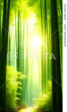竹林風景,陽光透過樹林 竹林風景,陽光透過樹林 109516502