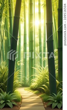 竹林風景,陽光透過樹林 竹林風景,陽光透過樹林 109516504