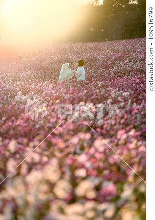 宇宙領域  宇宙領域 109516799