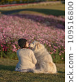 I love you 109516800