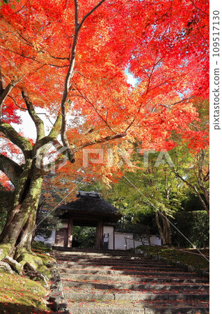 Philosopher's Way Anrakuji Temple 109517130