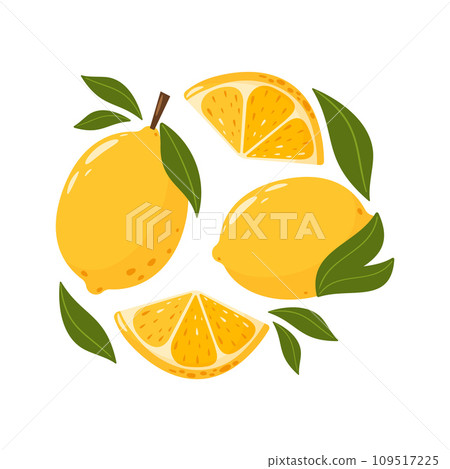 Whole and sliced lemons with leaves. Set of citrus sour fruits. Summer vitamin vector abstract illustration for banner, poster, flyer, banner, greeting card. Cartoon flat style. Whole and sliced lemons with leaves. Set of citrus sour fruits. Summer vitamin vector abstract illustration for banner, poster, flyer, banner, greeting card. Cartoon flat style. 109517225