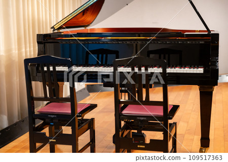 Grand piano and two chairs duet setting 109517363