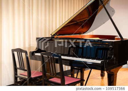 Grand piano and two chairs duet setting 109517366