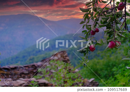 Mountain Twilight: Orchard Overlook in the Ardeche Mountain Twilight: Orchard Overlook in the Ardeche 109517689
