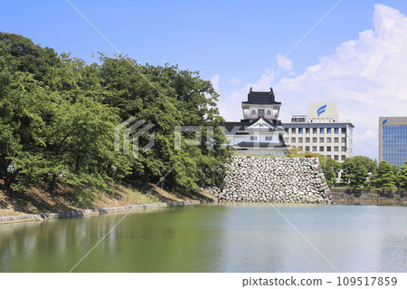 Toyama Toyama Castle (from the southwest of the castle) Toyama Toyama Castle (from the southwest of the castle) 109517859