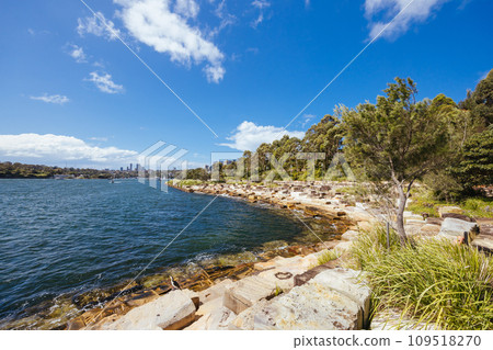 Story Bridge and Brisbane Skyline in Australia 109518270