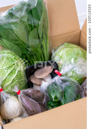 Vegetables packed in cardboard boxes received as a return gift for hometown tax donations 109518565