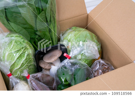 Vegetables packed in cardboard boxes received as a return gift for hometown tax donations 109518566