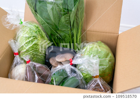 Vegetables packed in cardboard boxes received as a return gift for hometown tax donations 109518570