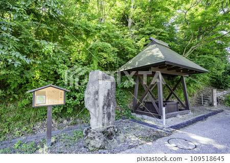 長野縣飯山市櫻井道遺址飯山城跡公園 109518645