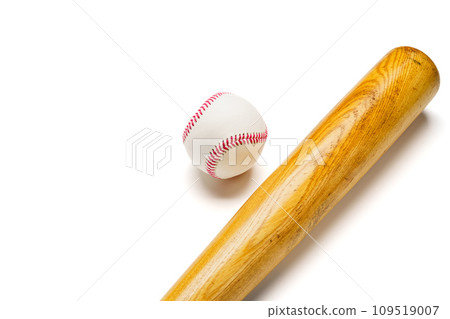 硬球棒球和木棒 109519007