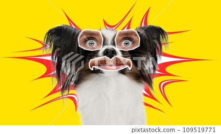 Purebred little dog with female eyes and male mouth looking against yellow background. Contemporary art collage. 109519771