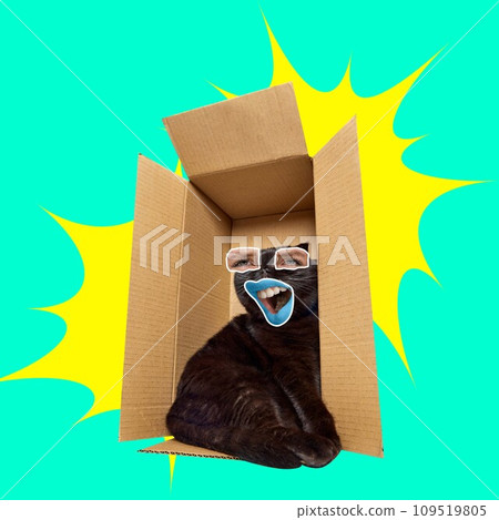 Black cat with human eyes and mouth sitting in box against green background. Contemporary art collage. Black cat with human eyes and mouth sitting in box against green background. Contemporary art collage. 109519805