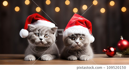 AI-generated content. funny kittens in a red hat, photo for a postcard or calendar. Christmas background. Generative AI AI-generated content. funny kittens in a red hat, photo for a postcard or calendar. Christmas background. Generative AI 109520150