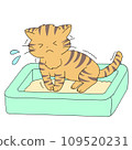 Cat playing in the toilet 109520231