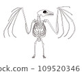 bat skeleton 109520346