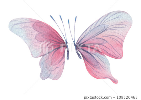 Butterflies are pink, blue, lilac, flying, delicate with wings and splashes of paint. Hand drawn watercolor illustration. Set of isolated elements on a white background, for design 109520465