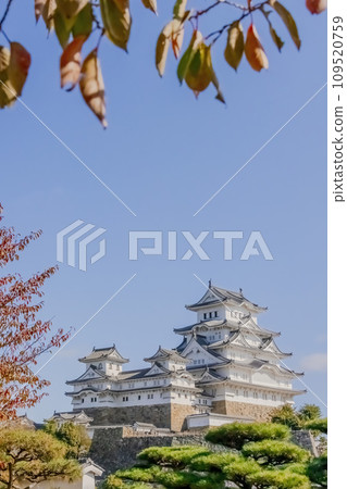 Himeji, Hyogo Prefecture of Japan. Nov 10, 2023. A vertical view of the Himeji Castle a hilltop Japanese castle complex an UNESCO World Heritage Site. 109520759