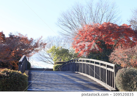 山上城堡廢墟公園 109520835