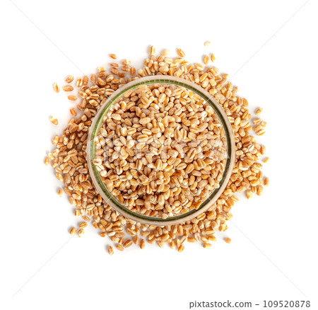 Wheat Grains, Barley Pile, Dry Cereal Seeds, Wheat Grains Heap on White Wheat Grains, Barley Pile, Dry Cereal Seeds, Wheat Grains Heap on White 109520878