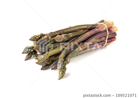 Purple Asparagus Isolated, Raw Garden Vegetables Bunch, Fresh Edible Sprouts of Red Asparagus Officinalis Purple Asparagus Isolated, Raw Garden Vegetables Bunch, Fresh Edible Sprouts of Red Asparagus Officinalis 109521071