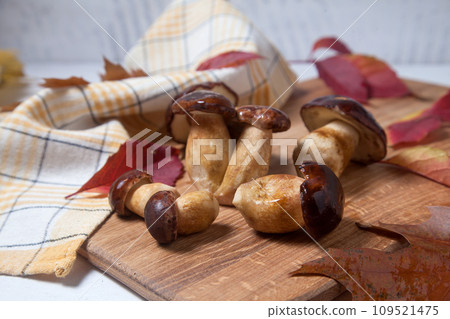 Several Imleria Badia or Boletus badius mushrooms commonly known as the bay bolete on wooden cutting board.. 109521475