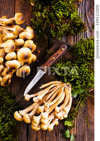 raw mushrooms on kitchen table, fresh mushrooms raw mushrooms on kitchen table, fresh mushrooms 109522800