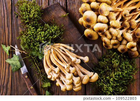 raw mushrooms on kitchen table, fresh mushrooms 109522803