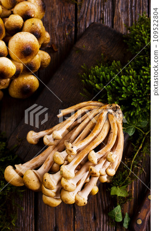 raw mushrooms on kitchen table, fresh mushrooms 109522804